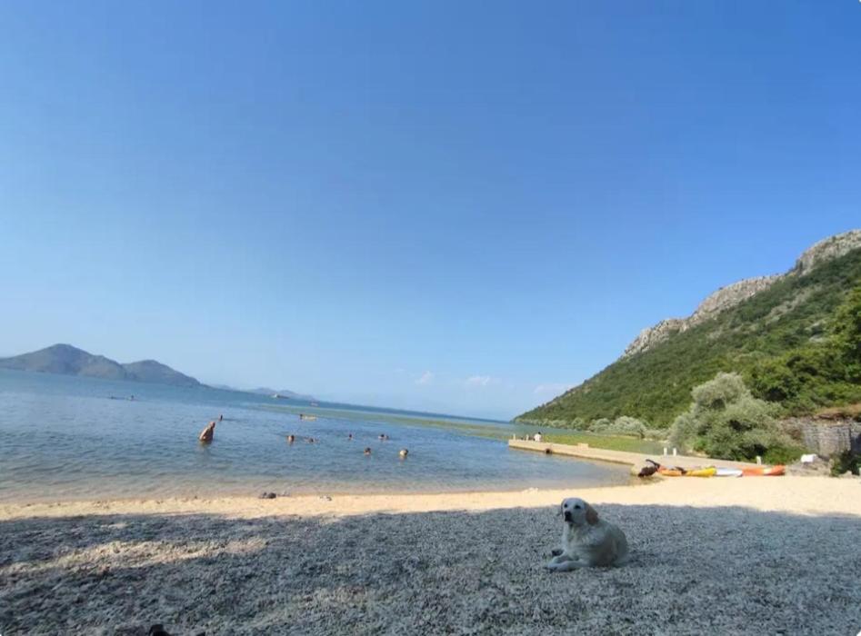 Ivan'S Holiday Home 威尔帕扎 外观 照片